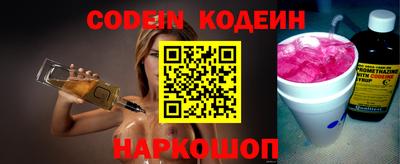 гашик Кингисепп