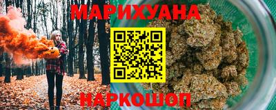 гашик Кингисепп