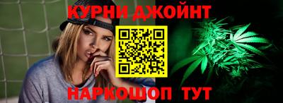 гашик Кингисепп
