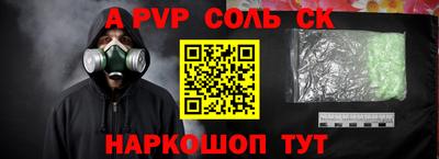 гашик Кингисепп
