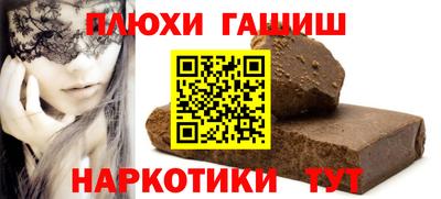 гашик Кингисепп