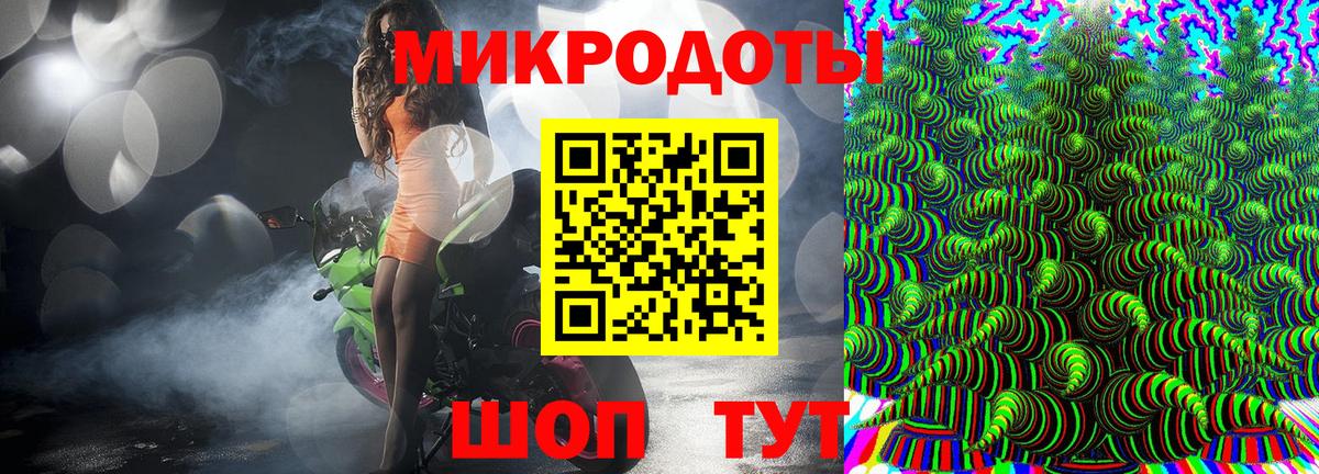 Псилоцибиновые грибы Psilocybe Кострома