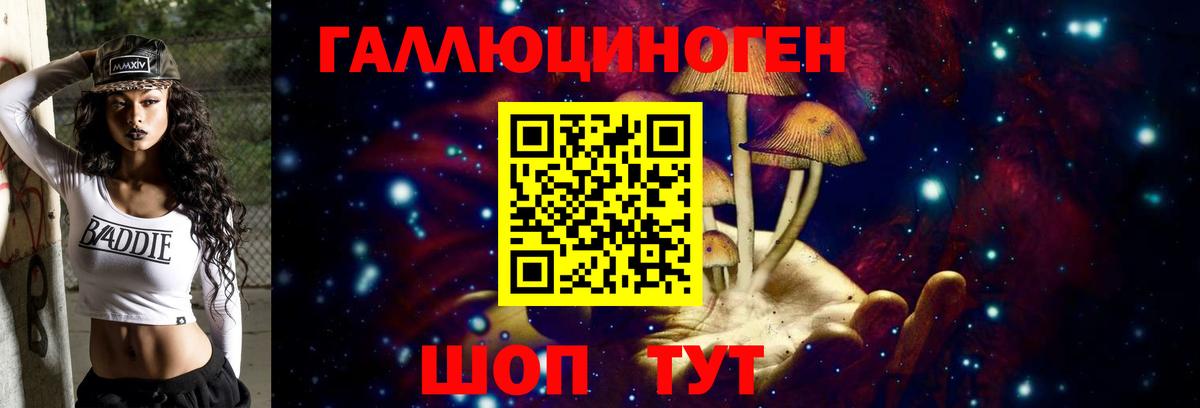Кострома  Галлюциногенные грибы Psilocybe  Вход с VPN  купить наркотик  Псилоцибиновые грибы Psilocybe 